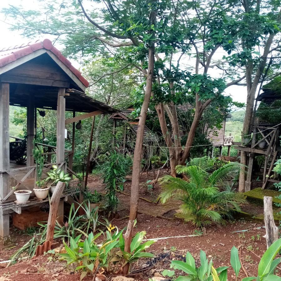 Quiet Garden View Lodge&Trekking Banlung Dış mekan fotoğraf